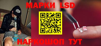 спайс Кингисепп