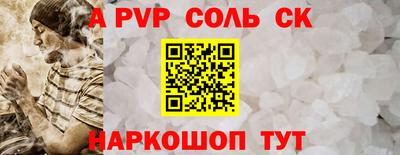 спайс Кингисепп