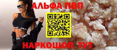 спайс Кингисепп
