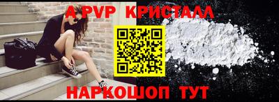спайс Кингисепп