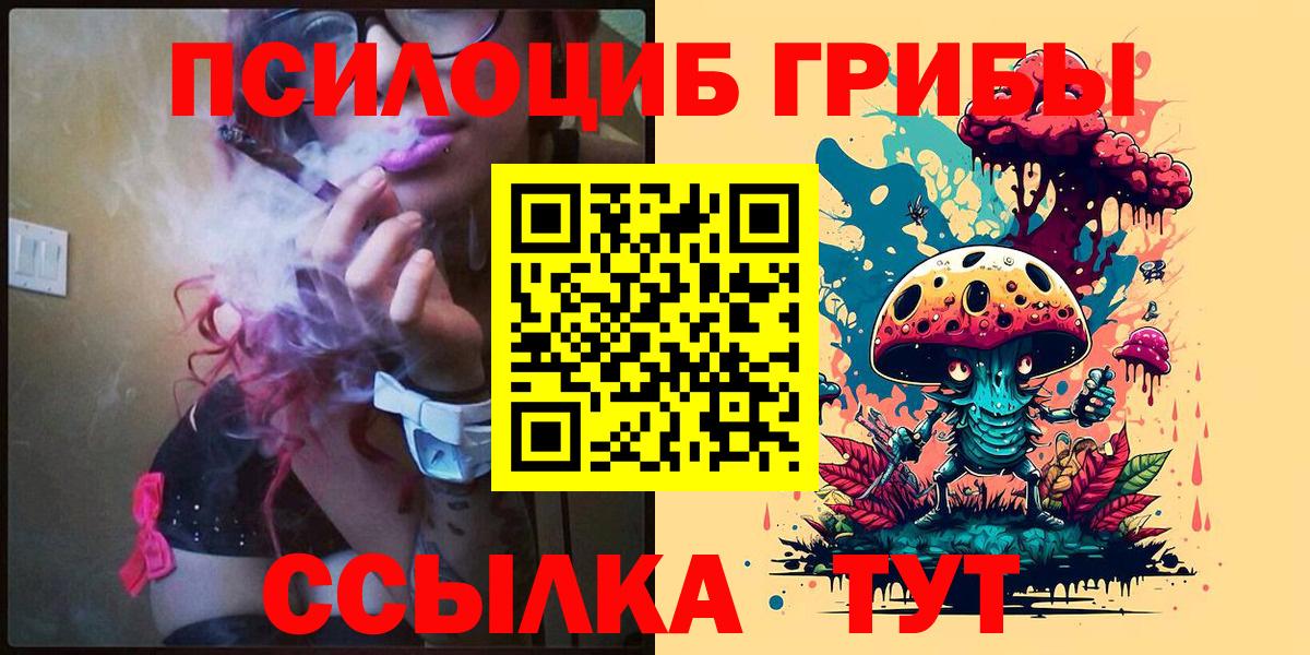 Кумертау  Псилоцибиновые грибы Cubensis  Вход с VPN 